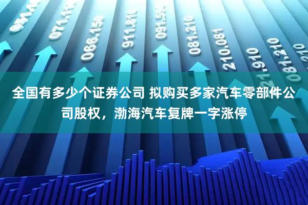 全国有多少个证券公司 拟购买多家汽车零部件公司股权，渤海汽车复牌一字涨停