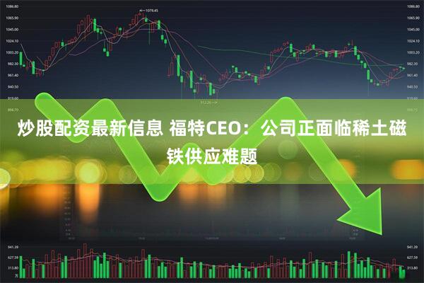 炒股配资最新信息 福特CEO：公司正面临稀土磁铁供应难题