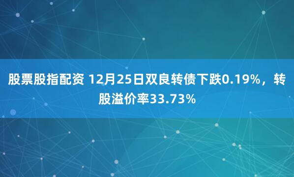 股票股指配资 12月25日双良转债下跌0.19%，转股溢价率33.73%