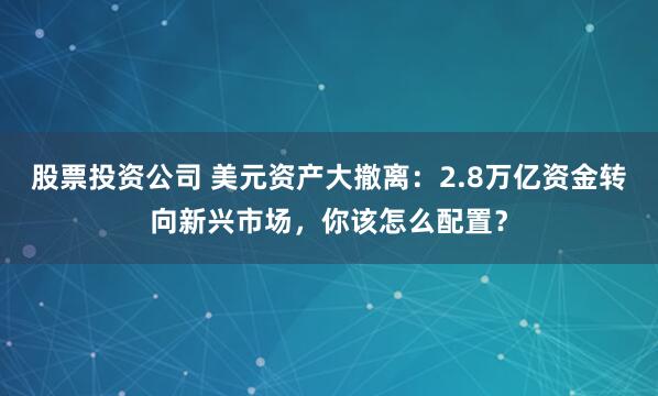 股票投资公司 美元资产大撤离:2.8万亿资金转向新兴市场,你该怎么配置?